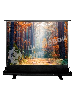 Экран Cactus 135x180 см FloorExpert CS-PSFLE-180X135 4:3 напольный рулонный