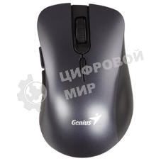 Мышь беспроводная Genius Ergo 8100S серый, 1600 dpi, радиоканал, USB, кнопки - 6