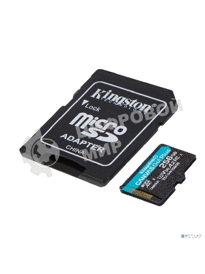 Флеш карта microSDXC 256Gb Kingston SDCG4/256Gb Canvas Go! Plus A2 + adapter