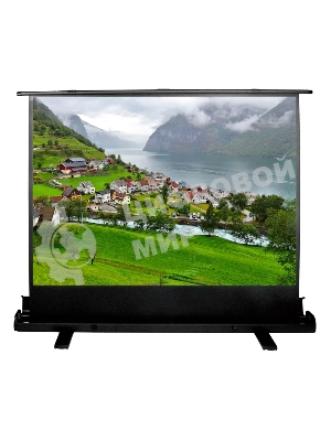 Экран Cactus 102x180 см FloorExpert CS-PSFLE-180X102 16:9 напольный рулонный