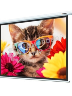 Экран с электроприводом Lumien Eco Control 187x280 см (раб. область 153х272 см) Matte White черная кайма по периметру 16:9
