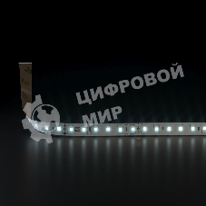 Лента светодиодная 2835 24V 120Led 9,6W IP20 / 120Led 9,6W IP20 6500K холодный белый