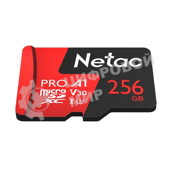 Флеш карта NeTac Карта памяти Netac MicroSD P500 Extreme Pro 256Gb, Retail version card only