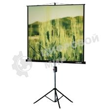 Экран на треноге Lumien 153x153см Master View LMV-100102 1:1 напольный рулонный
