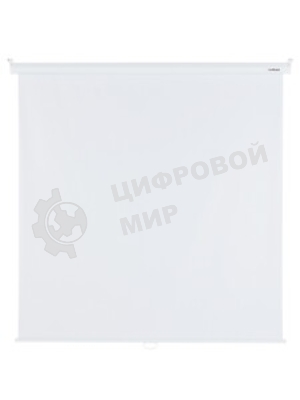 Экраны LUMIEN Eco Picture LEP-100101, 150х150 см, 1:1
