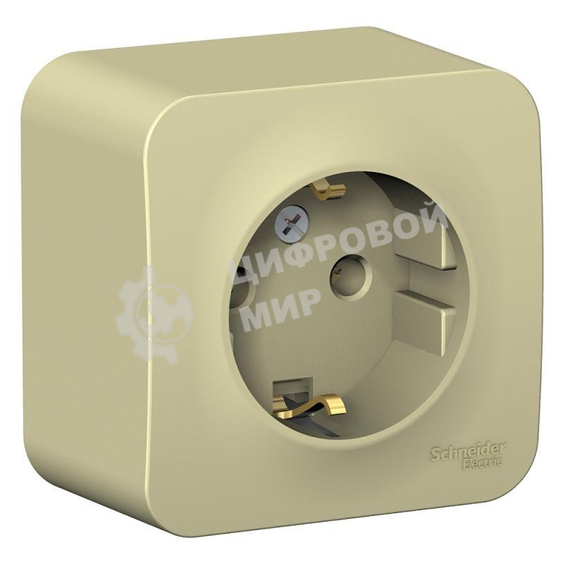 Розетка с/з без шторок, изолир. пластина 16А, 250В SE Blanca наруж Беж