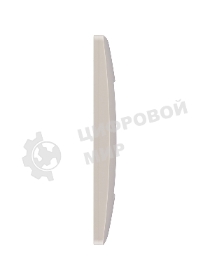 Рамка ETIKA 1 пост, сл. кость