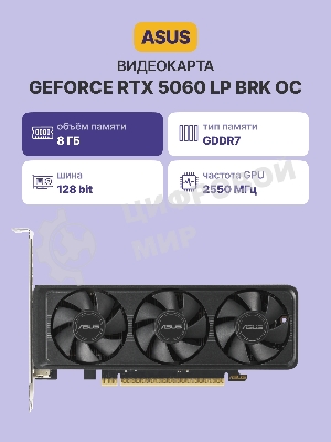 Видеокарта Asus GeForce RTX 5060 LP BRK, NVIDIA RTX 5060, 8Gb, GDDR7, 128 bit, PCI-E 5.0, HDMIx2, DPx1, HDCP, 2580 MHz