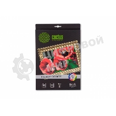 Холст Cactus CS-CA426010 A4/260г/м2/10л. для струйной печати