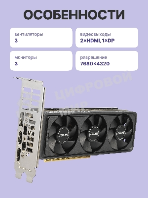 Видеокарта Asus GeForce RTX 5060 LP BRK, NVIDIA RTX 5060, 8Gb, GDDR7, 128 bit, PCI-E 5.0, HDMIx2, DPx1, HDCP, 2580 MHz
