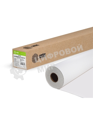 Холст Cactus CS-MC230-106730 42