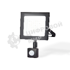 Прожектор светодиодный с датчиком движения Ambrella light ST8115 BK черный IP65 LED 6500K 50W 160*134*28
