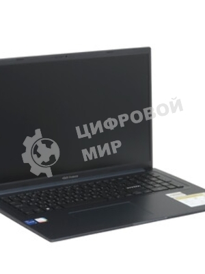 Ноутбук Asus Vivobook 17 X1704VA-AU1107/17.3