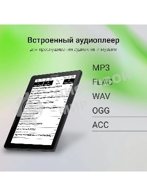 Электронная книга Digma F4 5.83