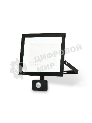 Прожектор светодиодный с датчиком движения Ambrella light ST8118 BK черный IP65 LED 6500K 100W 208*178*31