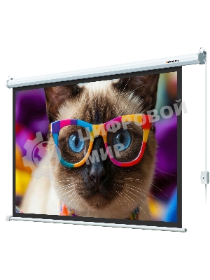 Экран с электроприводом Lumien LEC-100118 Eco Control 137x192 см (раб. область 104х186 см) (84
