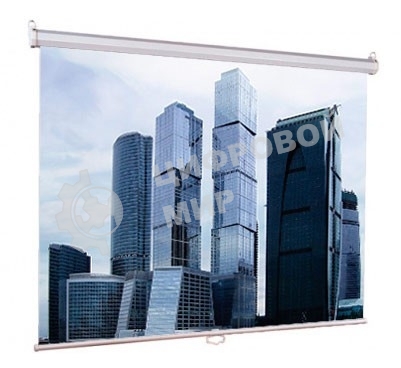 Экраны LUMIEN Eco Picture LEP-100101, 150х150 см, 1:1