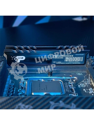 Оперативная память Patriot Signature Premium, DDR5, 16Gb (1x16 GB), 5600 MHz, CL46, DIMM, радиатор, черный