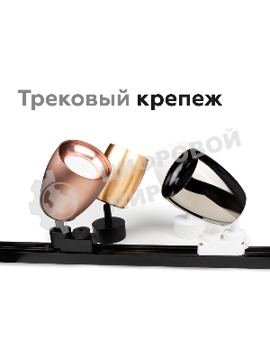 Насадка для корпуса светильника N7014 PYG золото желтое полированное D70*H20mm Out2mm MR16
