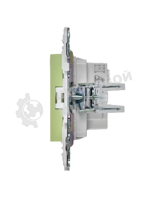 Розетка без заземления без защитных шторок 10А SK-R02G мятный SKANDY