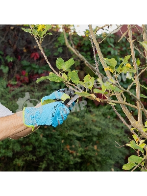 Нож садовый складной Palisad прямое лезвие, 173 мм, деревянная рукоятка
