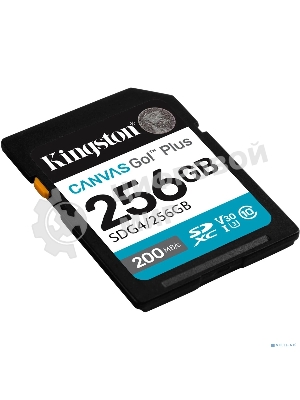 Флеш карта SDXC 256Gb Kingston SDG4/256Gb Canvas Go! Plus V30