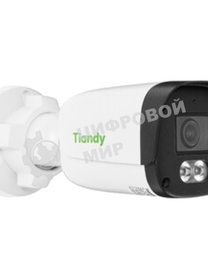 Камера видеонаблюдения Tiandy TC-C34QN 2GNA-28