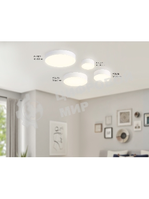 Светильник светодиодный потолочный FV5511 WH белый LED 15W 3000K D120*58 (Без ПДУ)