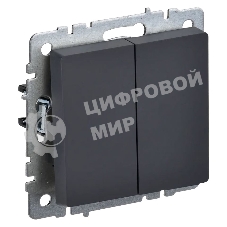Выключатель 2-клавишный IEK BRITE 10А ВС10-2-0-БрГ графит