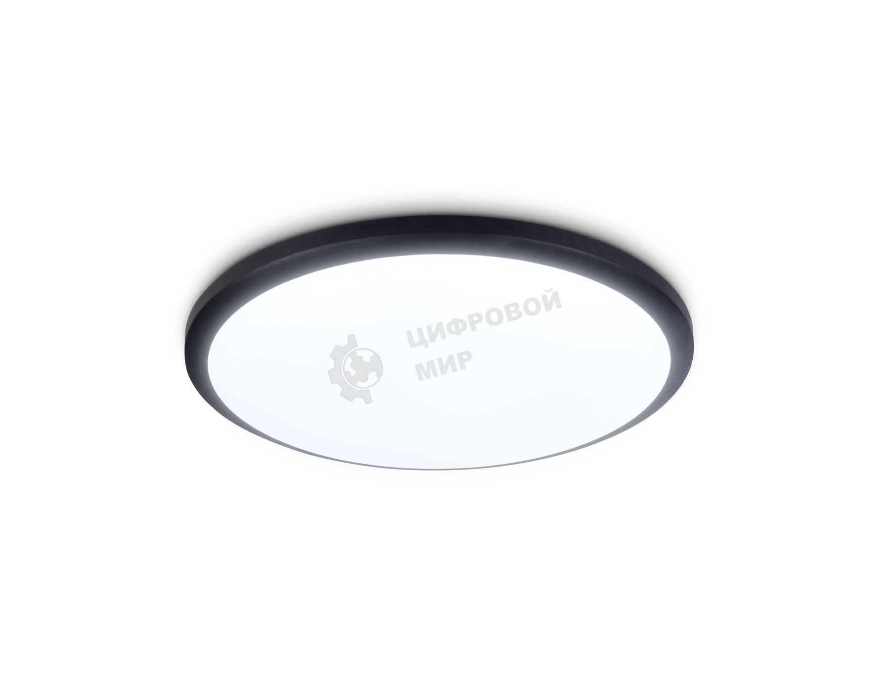 Потолочный светодиодный светильник Ambrella light FZ1233 BK черный IP44 22W 6400К D260*55 (Без ПДУ)