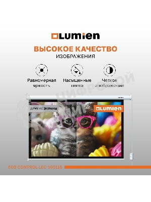 Экран с электроприводом Lumien LEC-100118 Eco Control 137x192 см (раб. область 104х186 см) (84