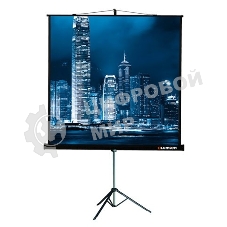 Экран на штативе Lumien Master View 127x127 см Matte White FiberGlass (LMV-100101)