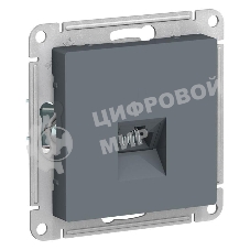 Розетка компьютерная RJ45, механизм ATN000783 Schneider Electric Грифель