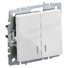 Выключатель 2-кл. СП BRITE ВС10-2-1-БрБ 10А с инд. белый IEK BR-V20-1-10-K01