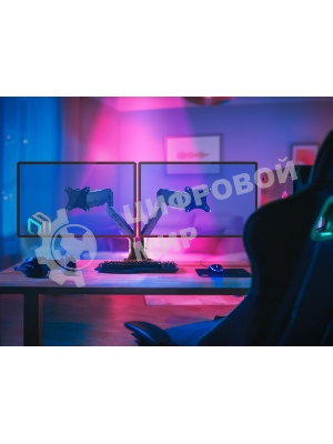 Кронштейн для 2 мониторов ONKRON G200 для монитора 13