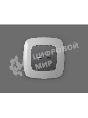 Лицевая панель OMEGA (Антрацит серый) для розетки 2USB тип A+C QUANT OP6610
