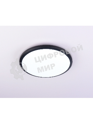 Потолочный светодиодный светильник Ambrella light FZ1233 BK черный IP44 22W 6400К D260*55 (Без ПДУ)