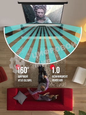 Экран для проектора S'OK Athena SGPSMS-442x249 на тросах с электроприводом, матовый, белый к