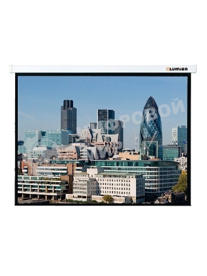 Экран с электроприводом Lumien Master Control 203x203 см Matte White FiberGlass черная кайма по периметру