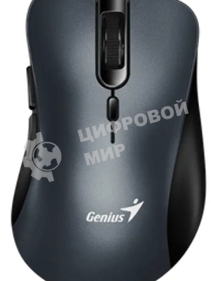 Мышь беспроводная Genius Ergo 8100S черный, 1600 dpi, радиоканал, USB, кнопки - 6