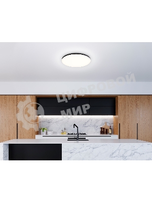 Умный светодиодный светильник FZ2004 BK черный IP54 20W 3000K-6500K+RGB Wi-Fi Алиса/Tuya/Smart Home/Alexa D300*55 (ПДУ ИК)