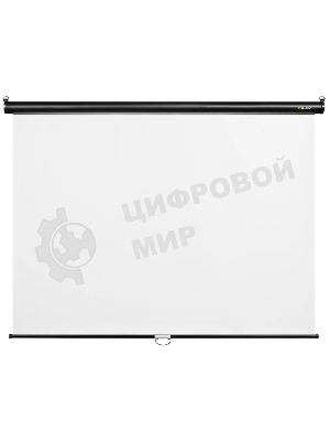 Экран 160x160см Digis Optimal-C DSOC-1101 1:1 настенно-потолочный рулонный