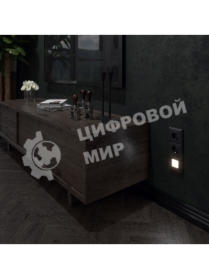 Встраиваемая LED подсветка WERKEL (черный) W1154308