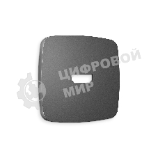 Лицевая панель OMEGA (Антрацит серый) для HDMI розетки QUANT OP6640
