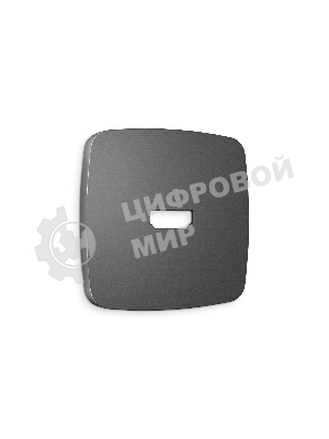 Лицевая панель OMEGA (Антрацит серый) для HDMI розетки QUANT OP6640