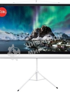 Экран 221x124.5см TriScreen 16:9 напольный рулонный белый100' Matt White (MW), серый корпус