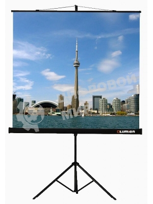 Экран на треноге Lumien 160x160см Eco View LEV-100105 1:1 напольный рулонный