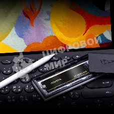 Накопитель SSD ADATA LEGEND 960, 2Tb, PCIe 4.0 x4, M.2 2280, NVMe, R/W 7400/6800, с радиатором