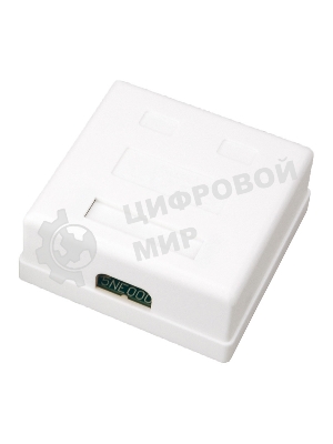 Розетка компьютерная Rexant 2-м ОП RJ45 CAT.5E бел.