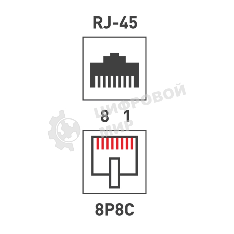Розетка компьютерная Rexant 2-м ОП RJ45 CAT.5E бел.